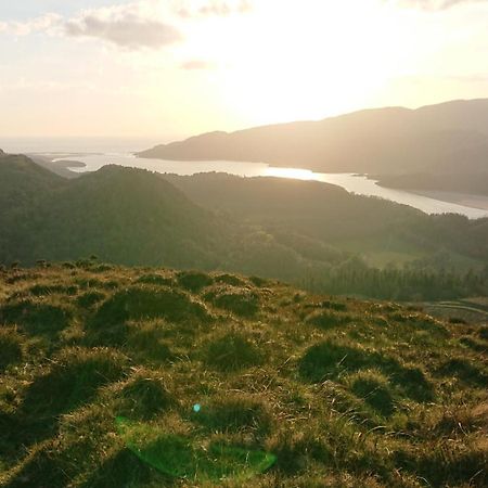 Abergwynant Farm Glamping & Apartments Dolgellau Ngoại thất bức ảnh