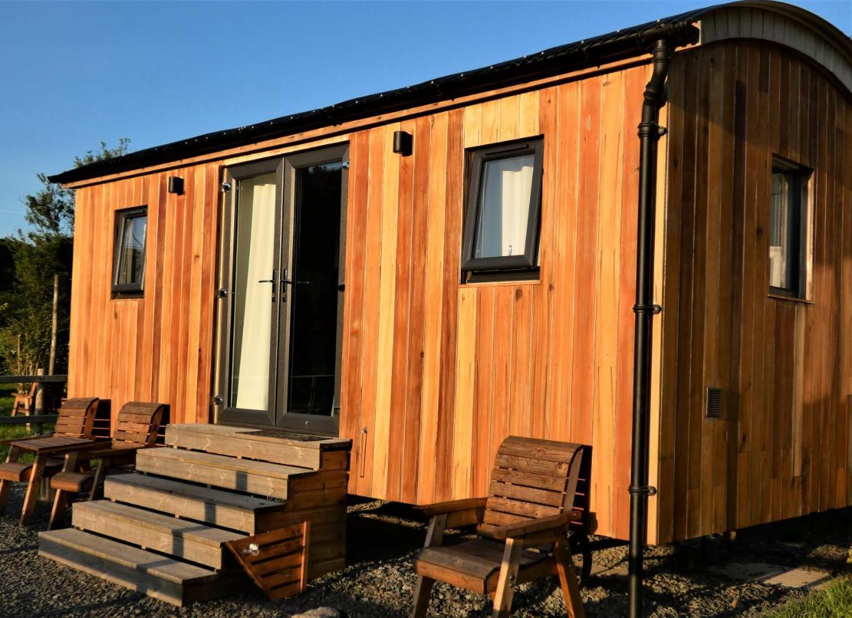 Abergwynant Farm Glamping & Apartments Dolgellau Ngoại thất bức ảnh