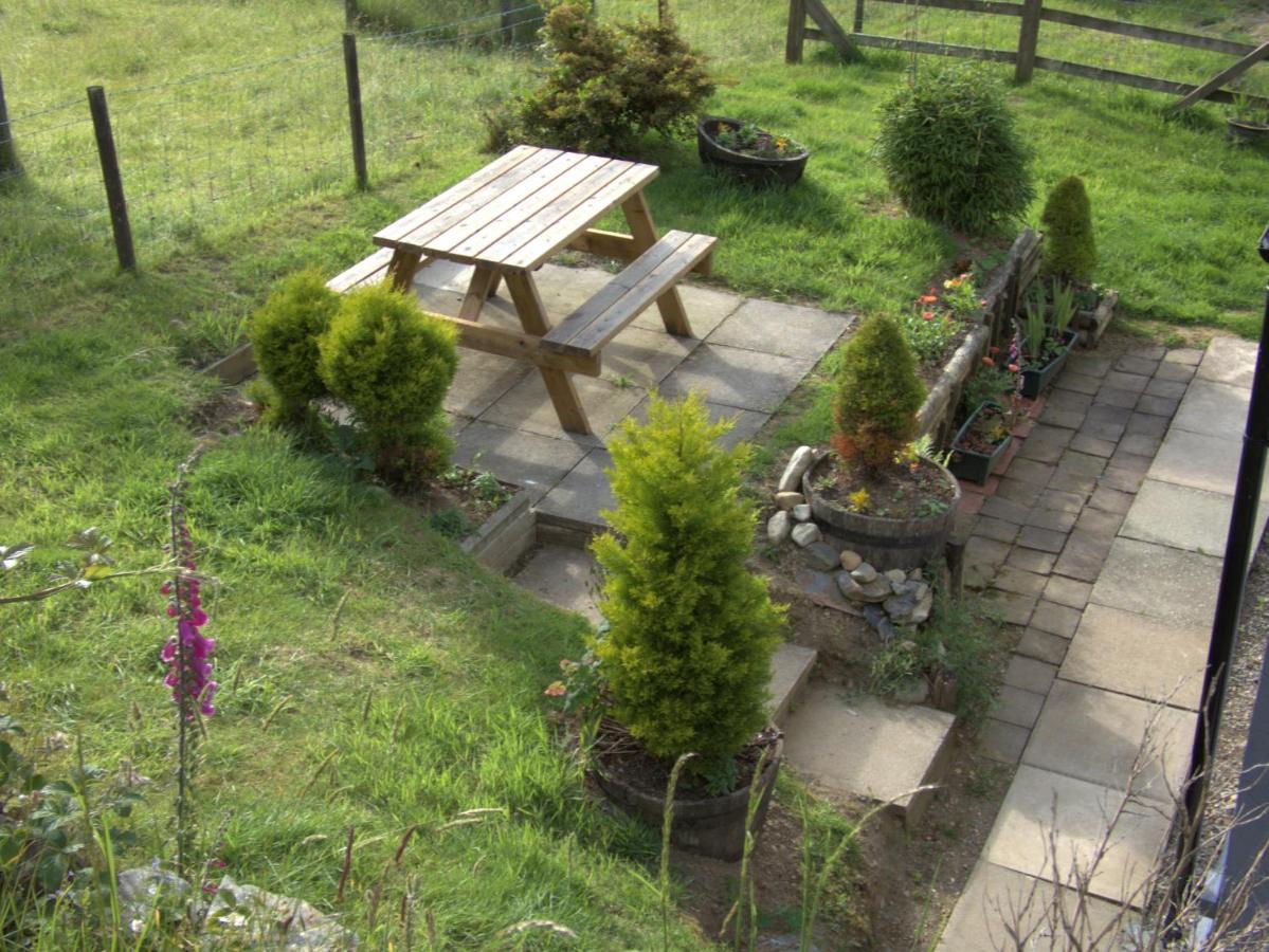 Abergwynant Farm Glamping & Apartments Dolgellau Ngoại thất bức ảnh