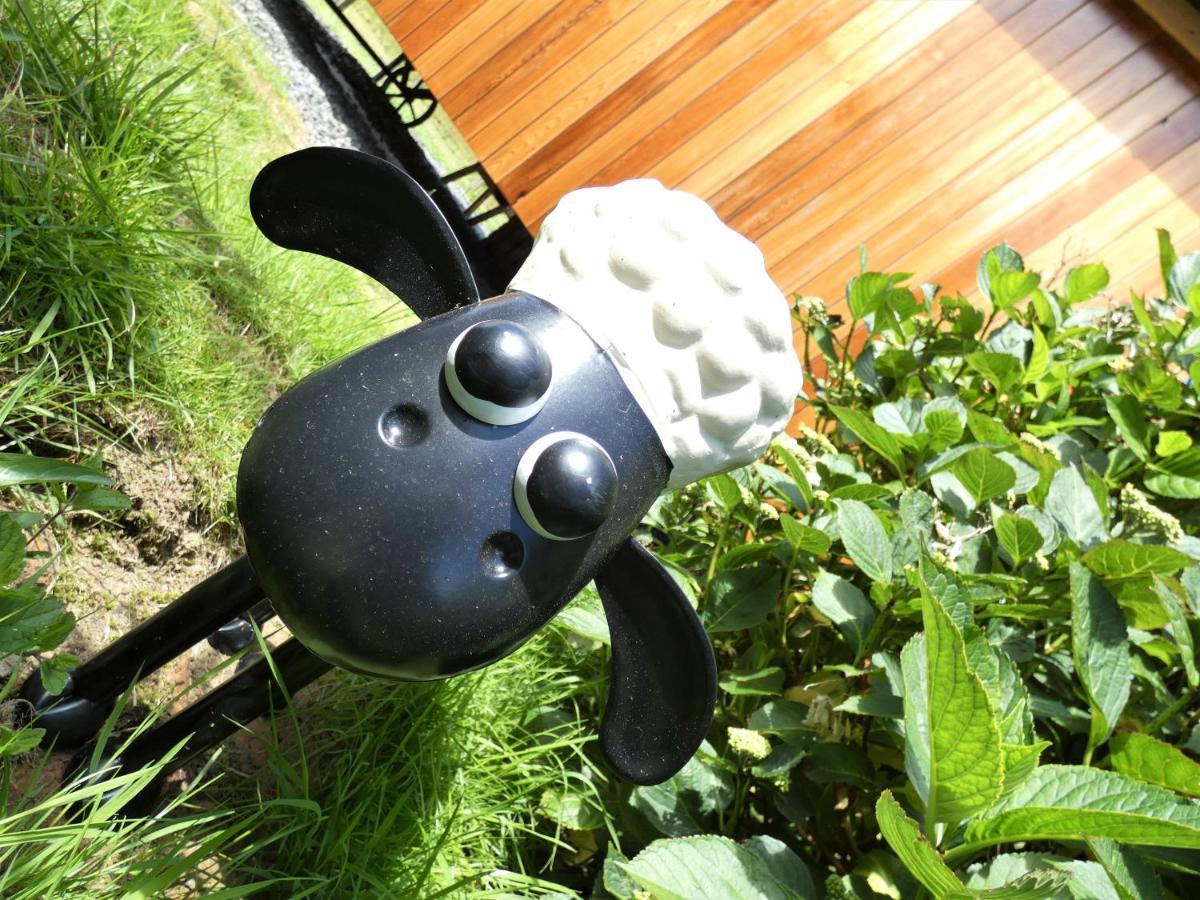 Abergwynant Farm Glamping & Apartments Dolgellau Ngoại thất bức ảnh