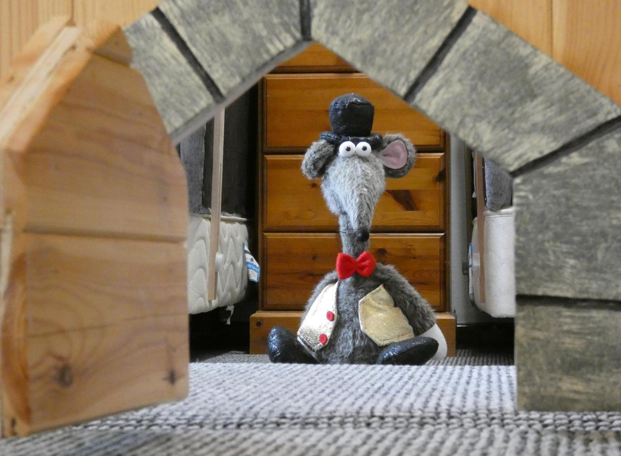Abergwynant Farm Glamping & Apartments Dolgellau Ngoại thất bức ảnh