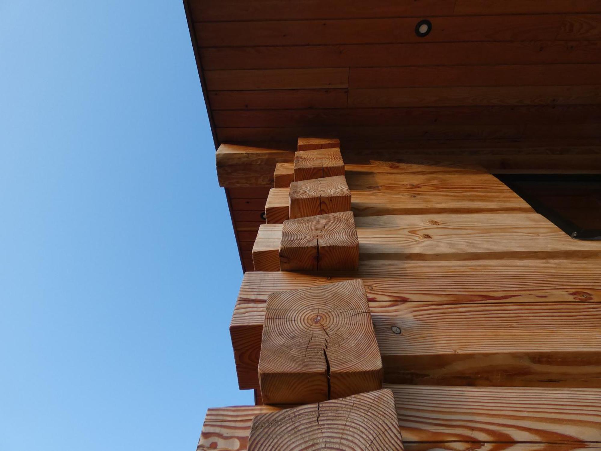 Abergwynant Farm Glamping & Apartments Dolgellau Ngoại thất bức ảnh